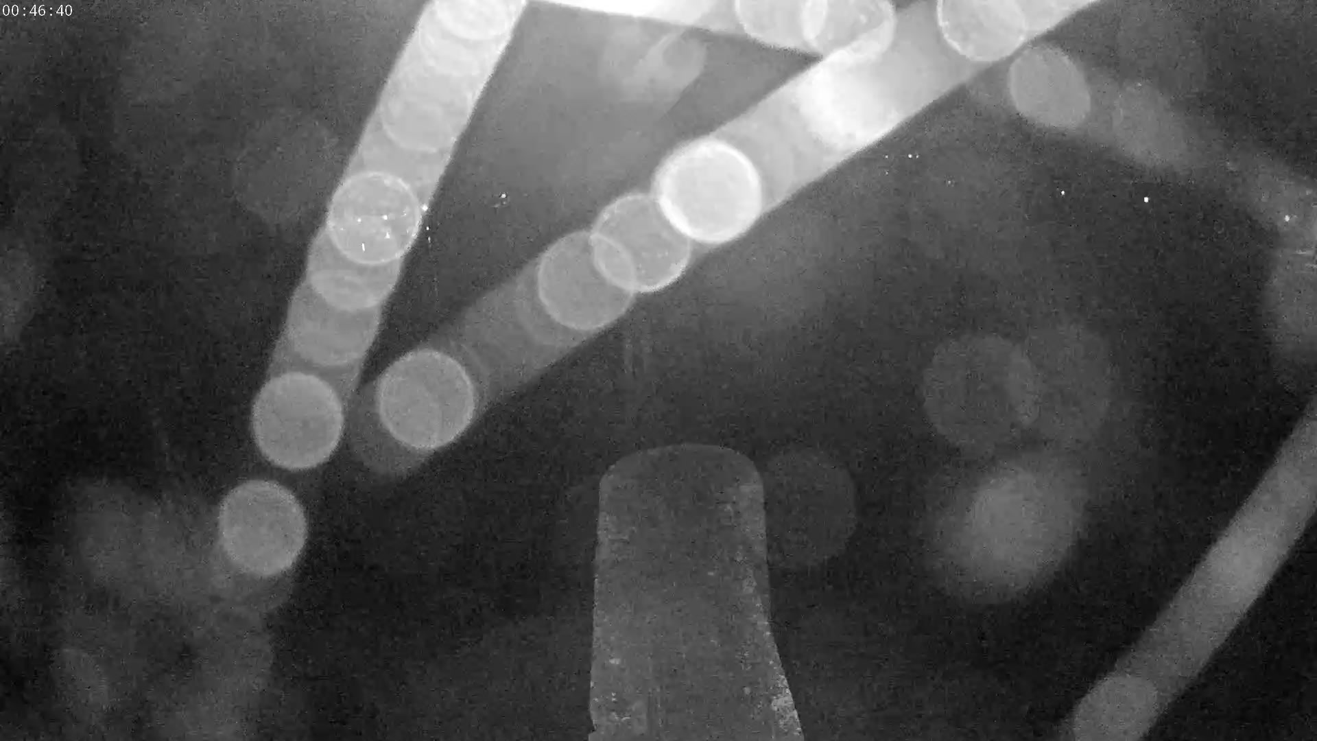 Webcam Image