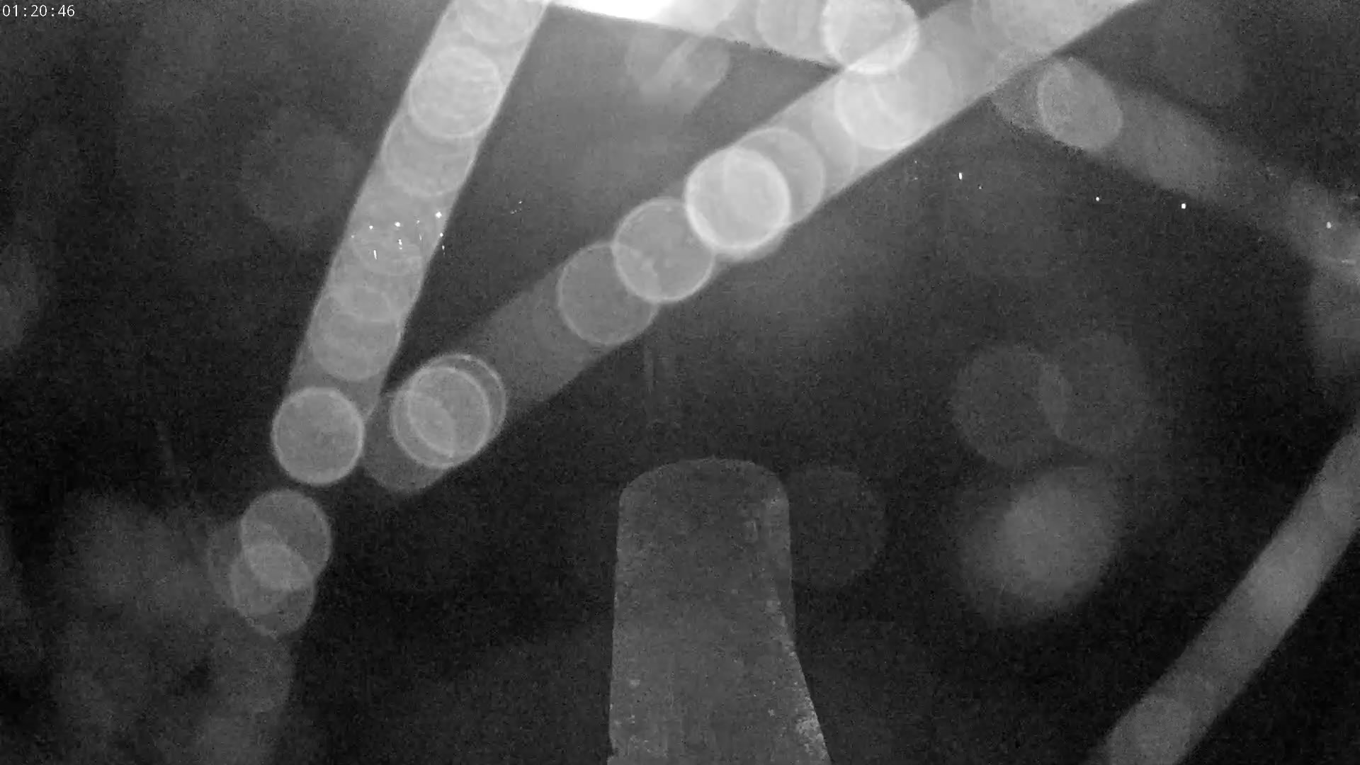 Webcam Image