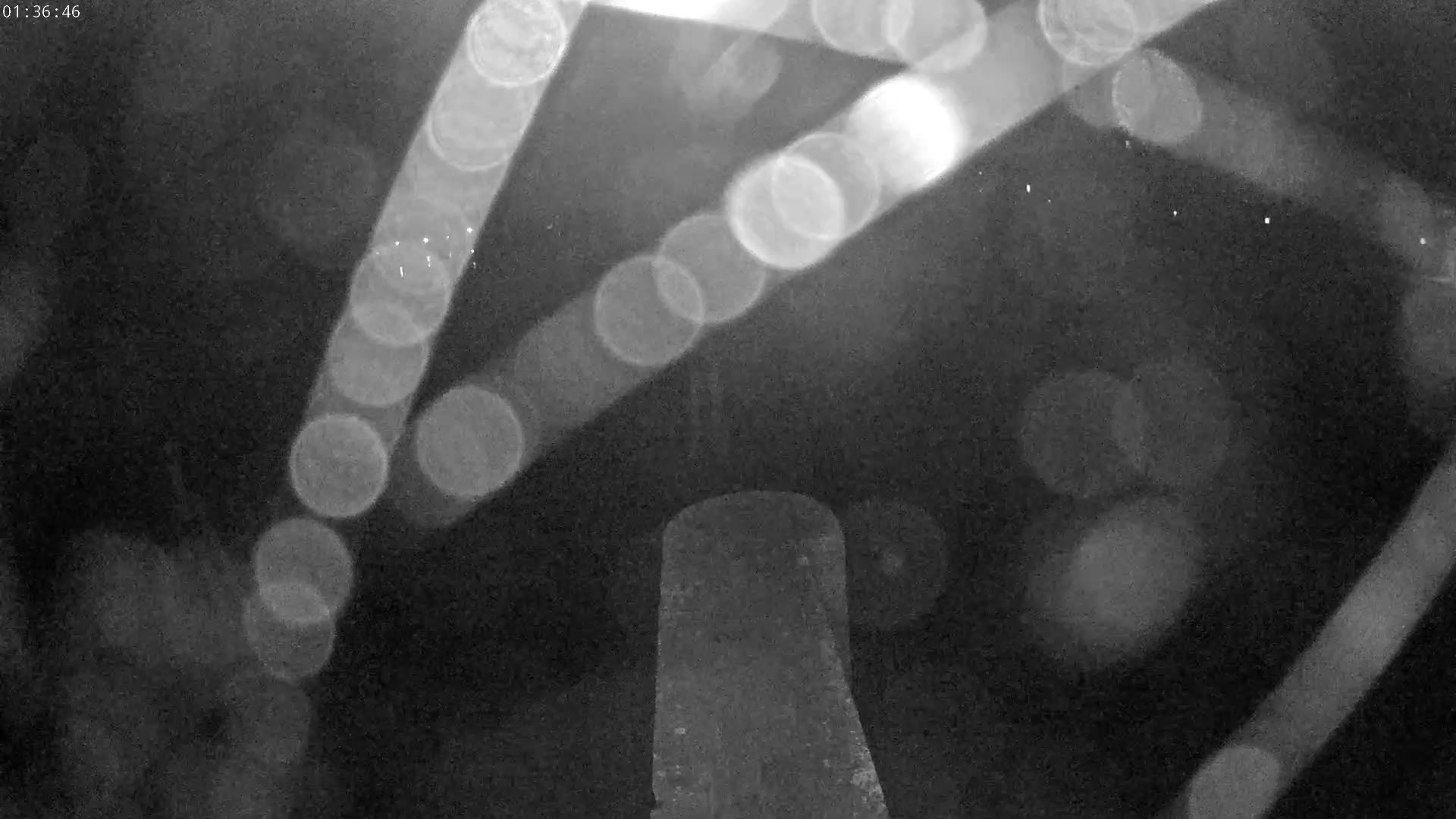 Webcam Image