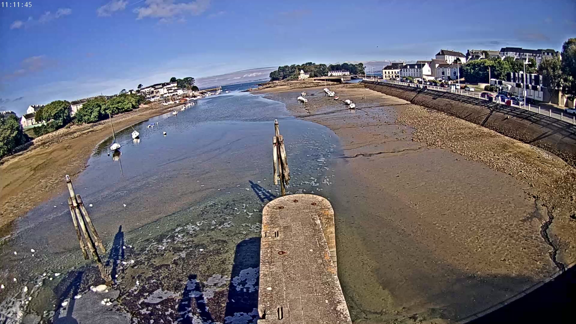 Webcam Image