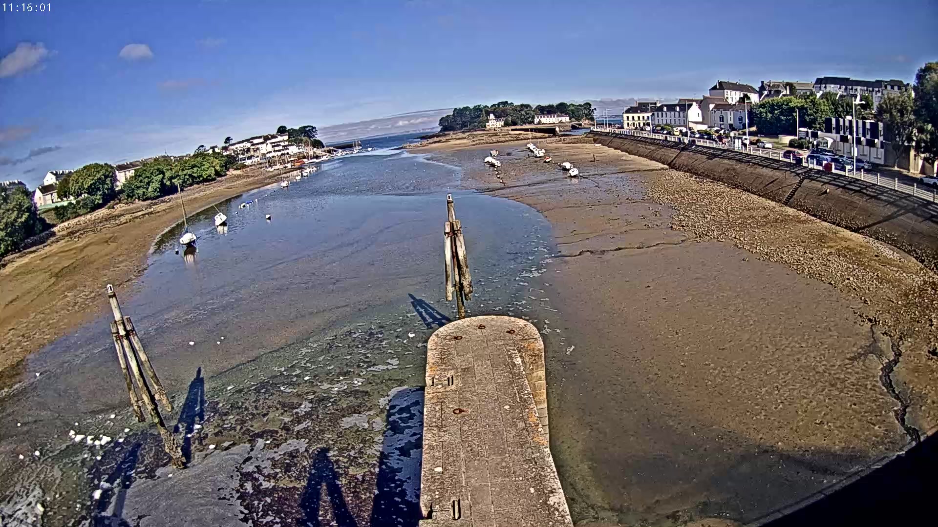 Webcam Image