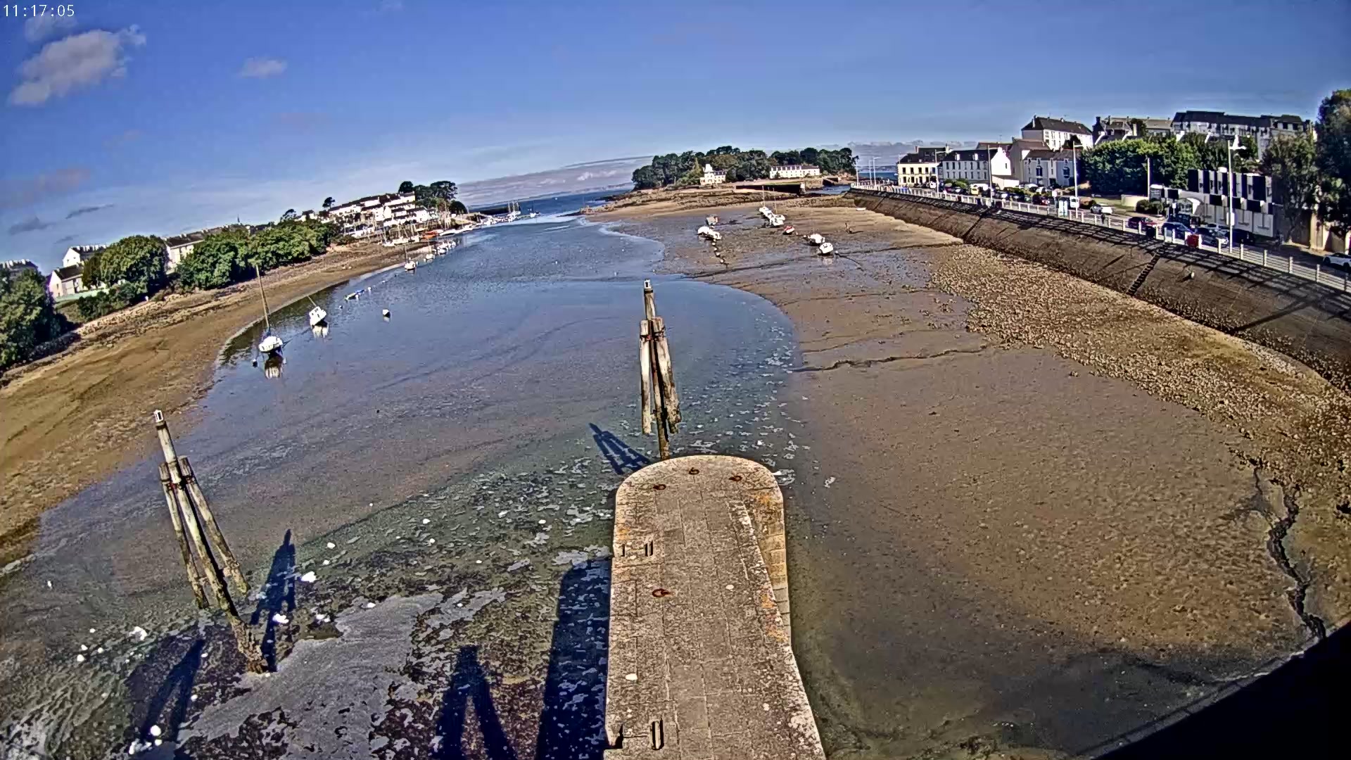 Webcam Image