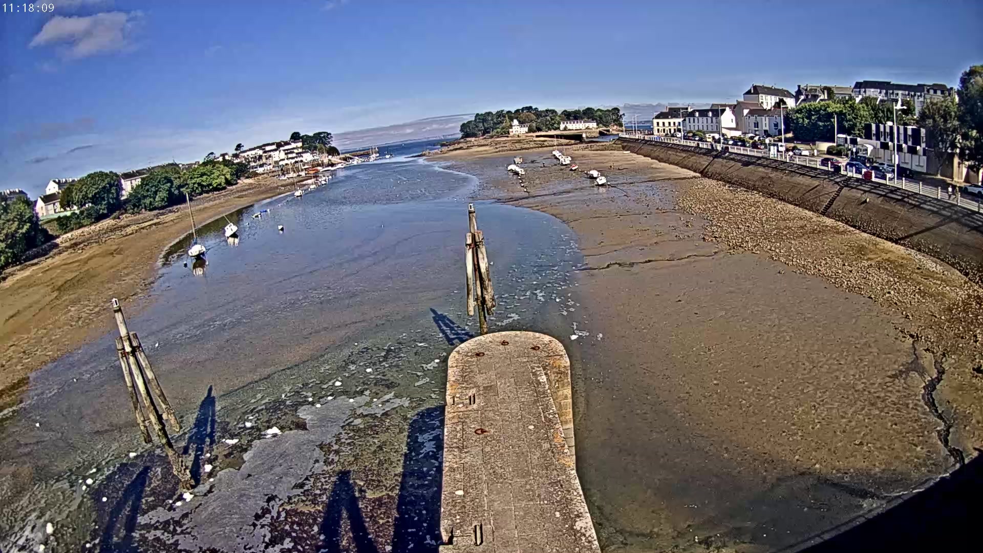 Webcam Image