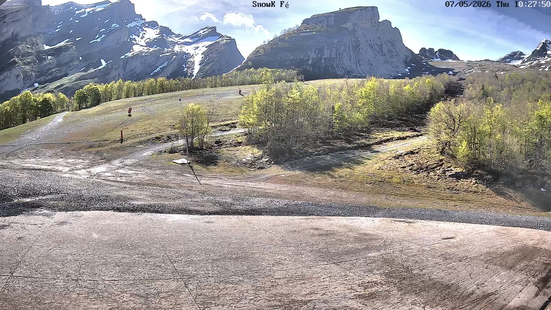 Webcam Image