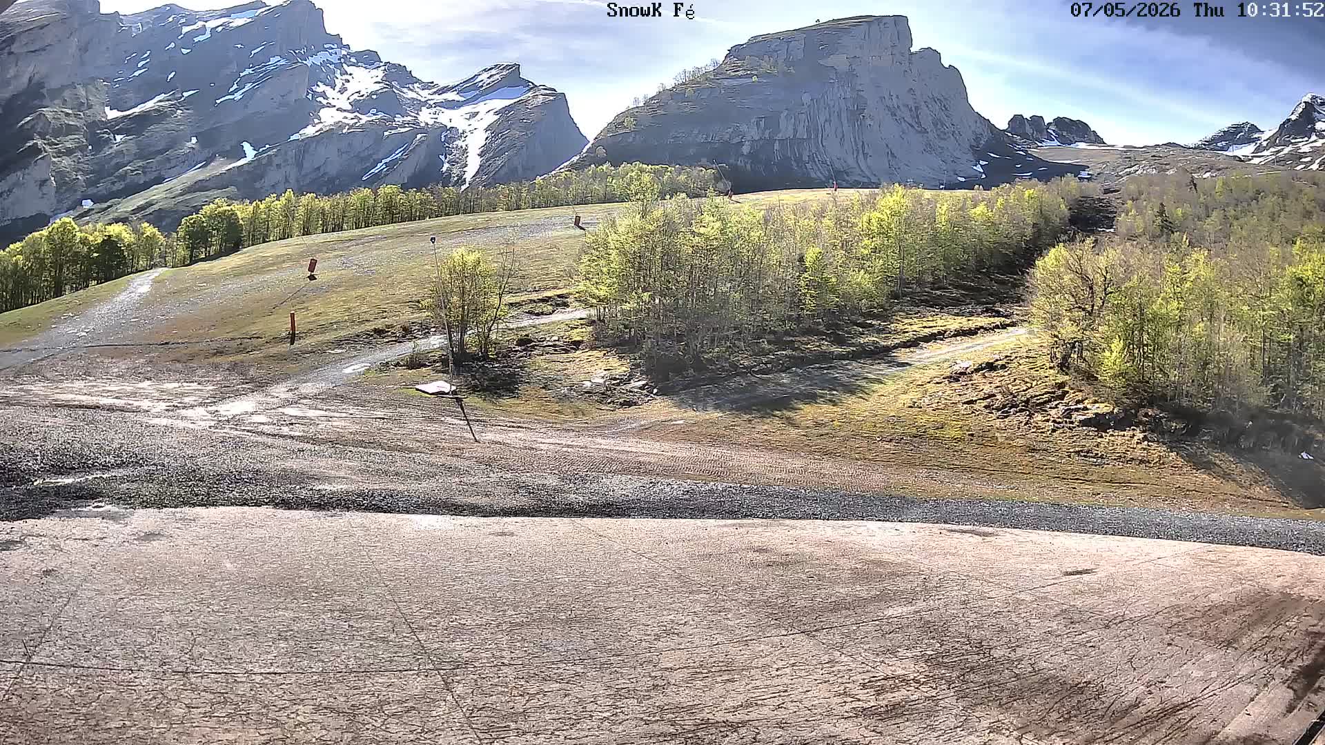 Webcam Image