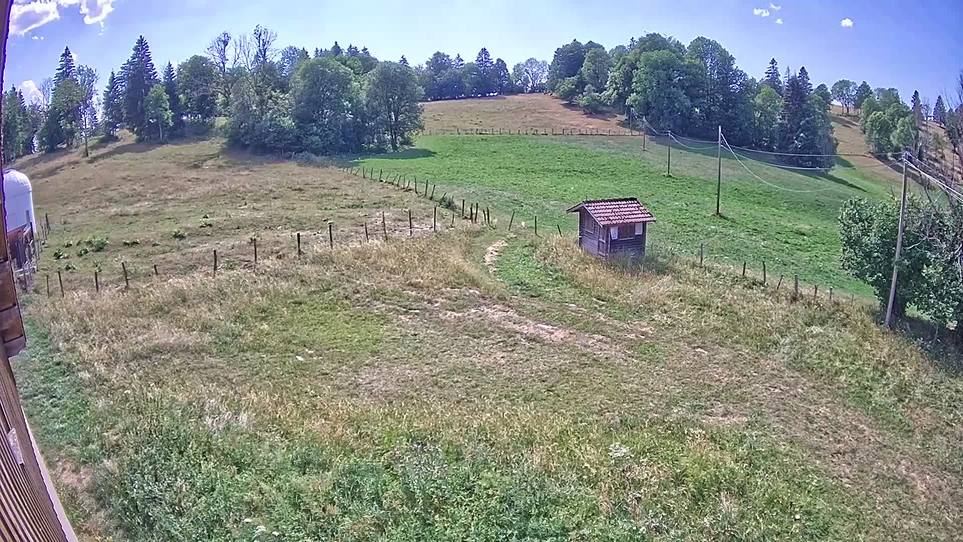 Webcam Image
