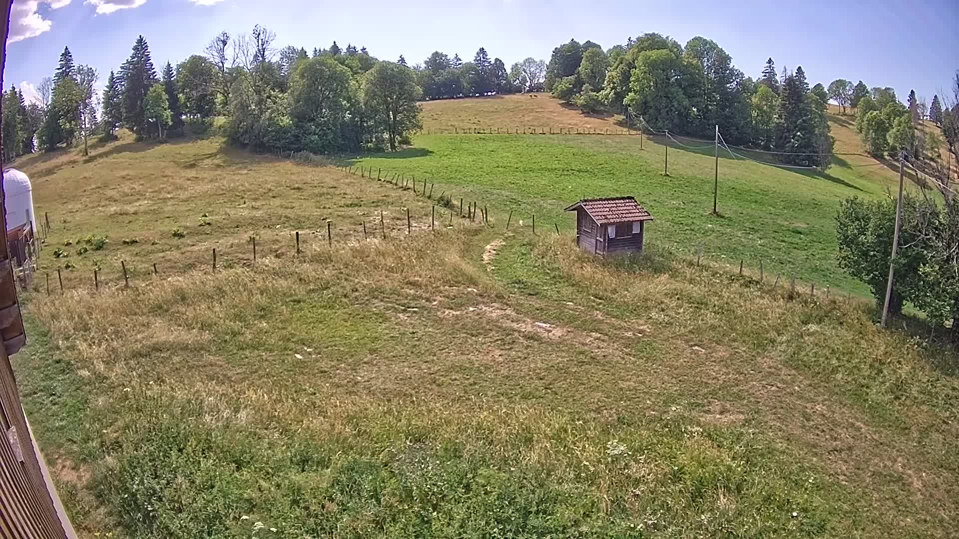 Webcam Image