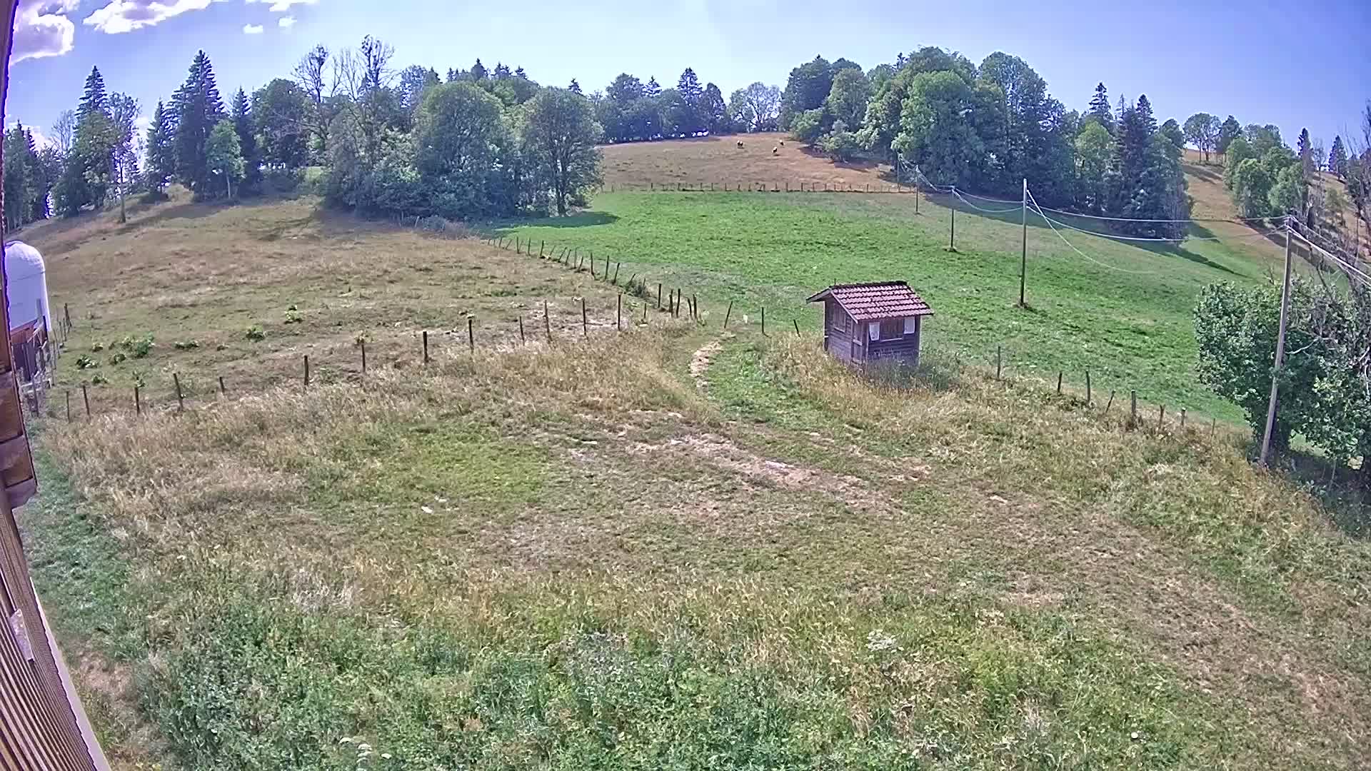 Webcam Image