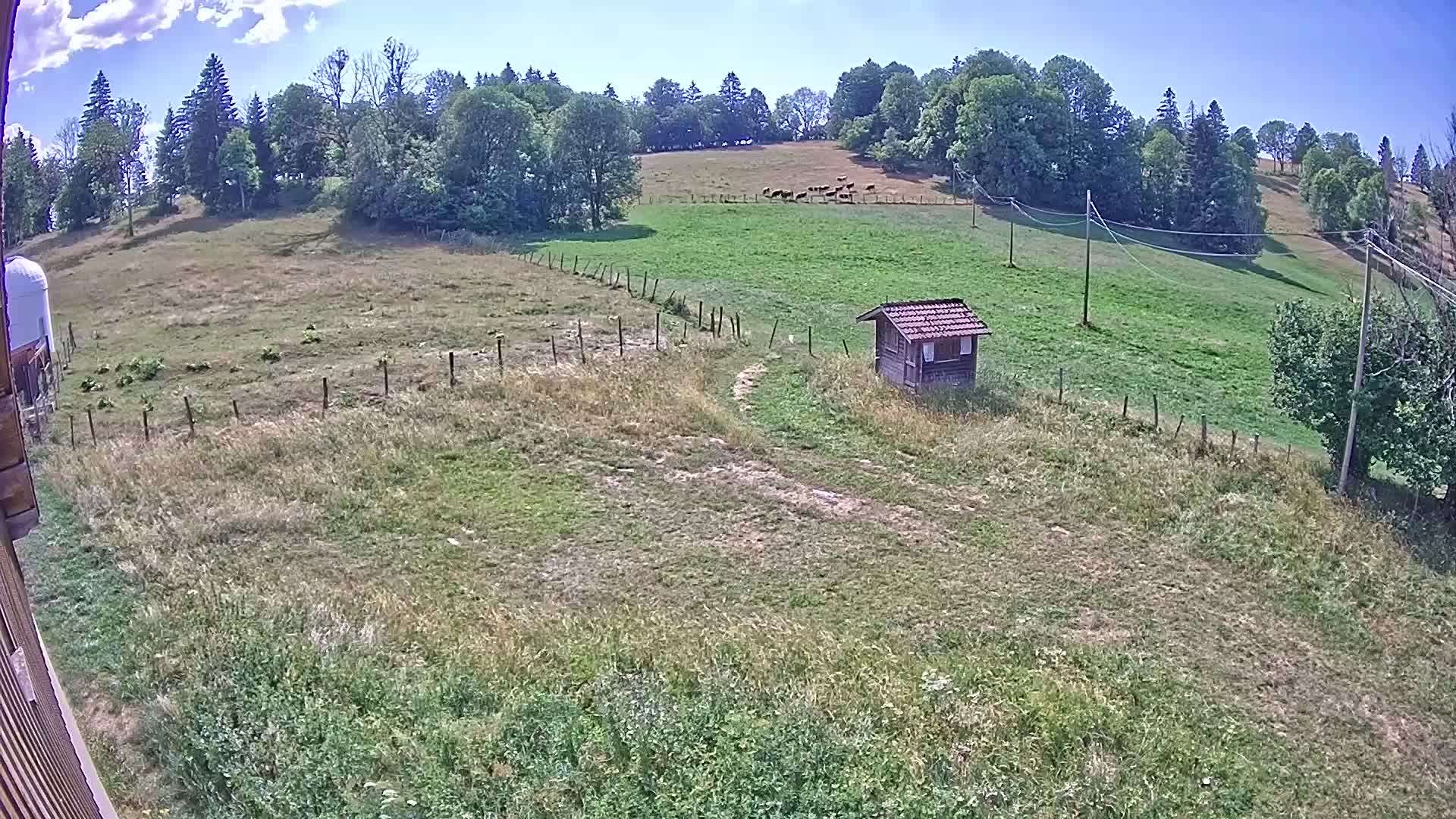 Webcam Image
