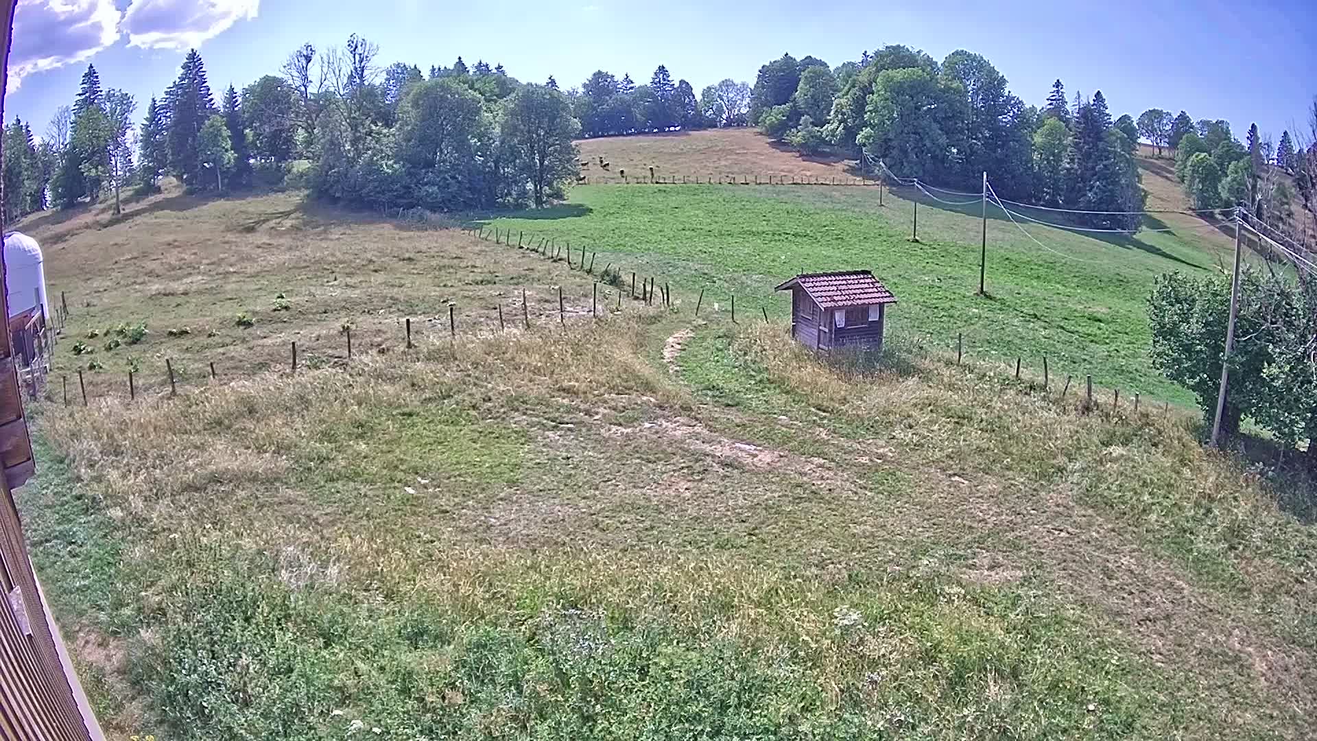 Webcam Image
