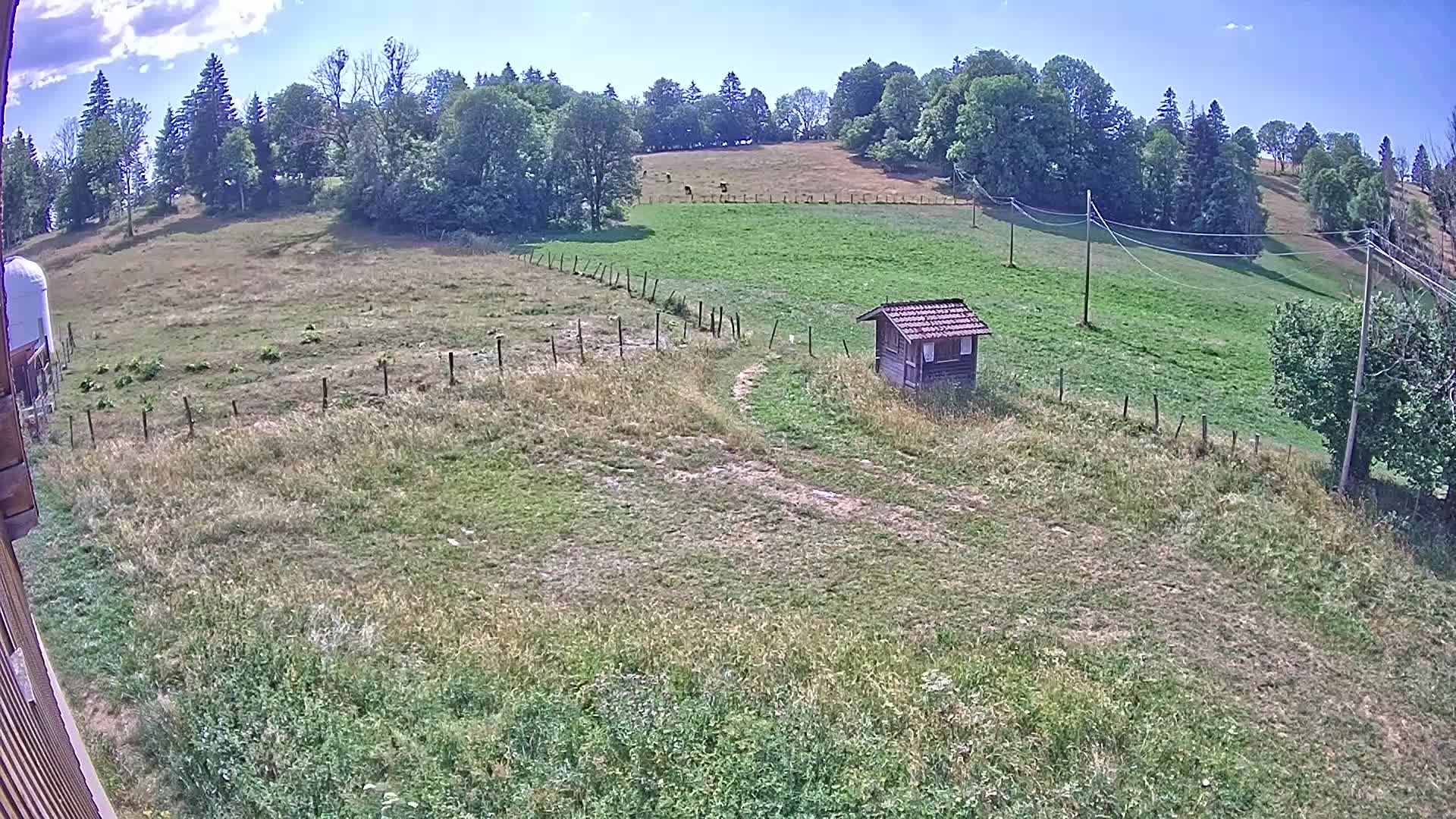 Webcam Image