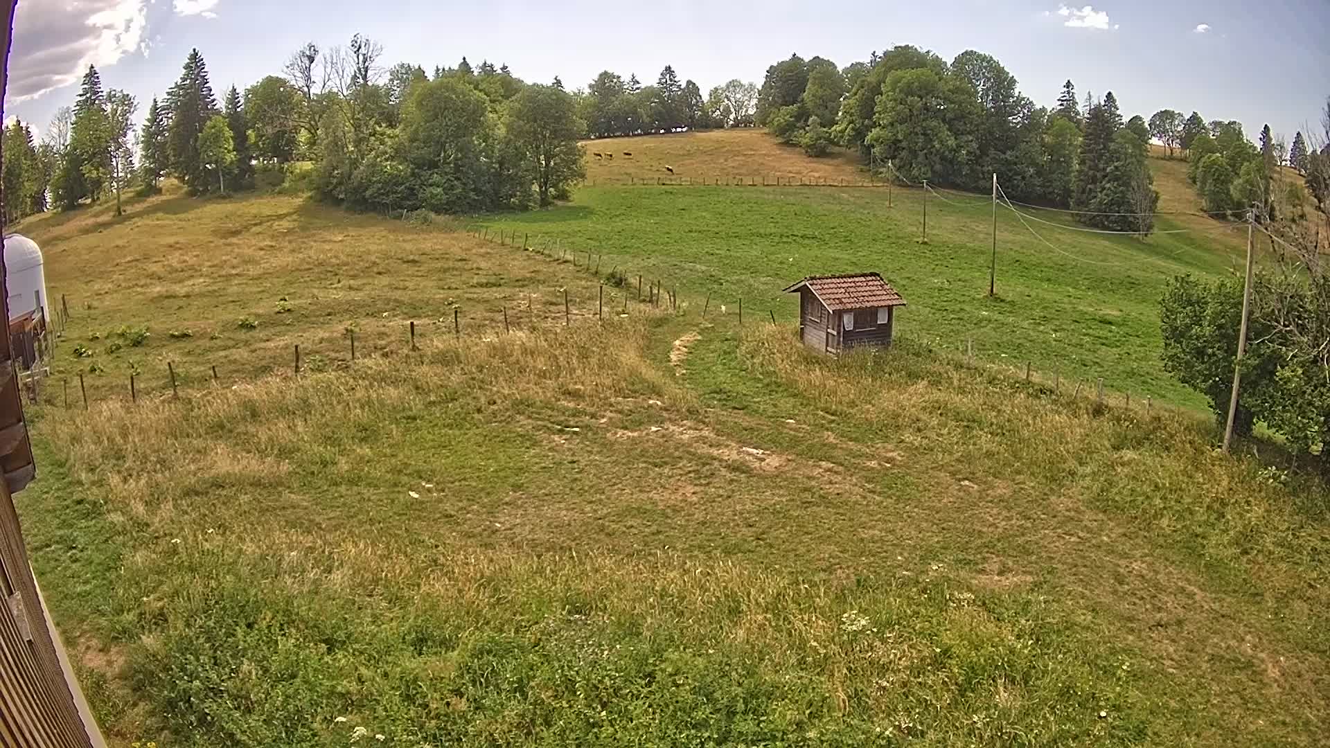 Webcam Image