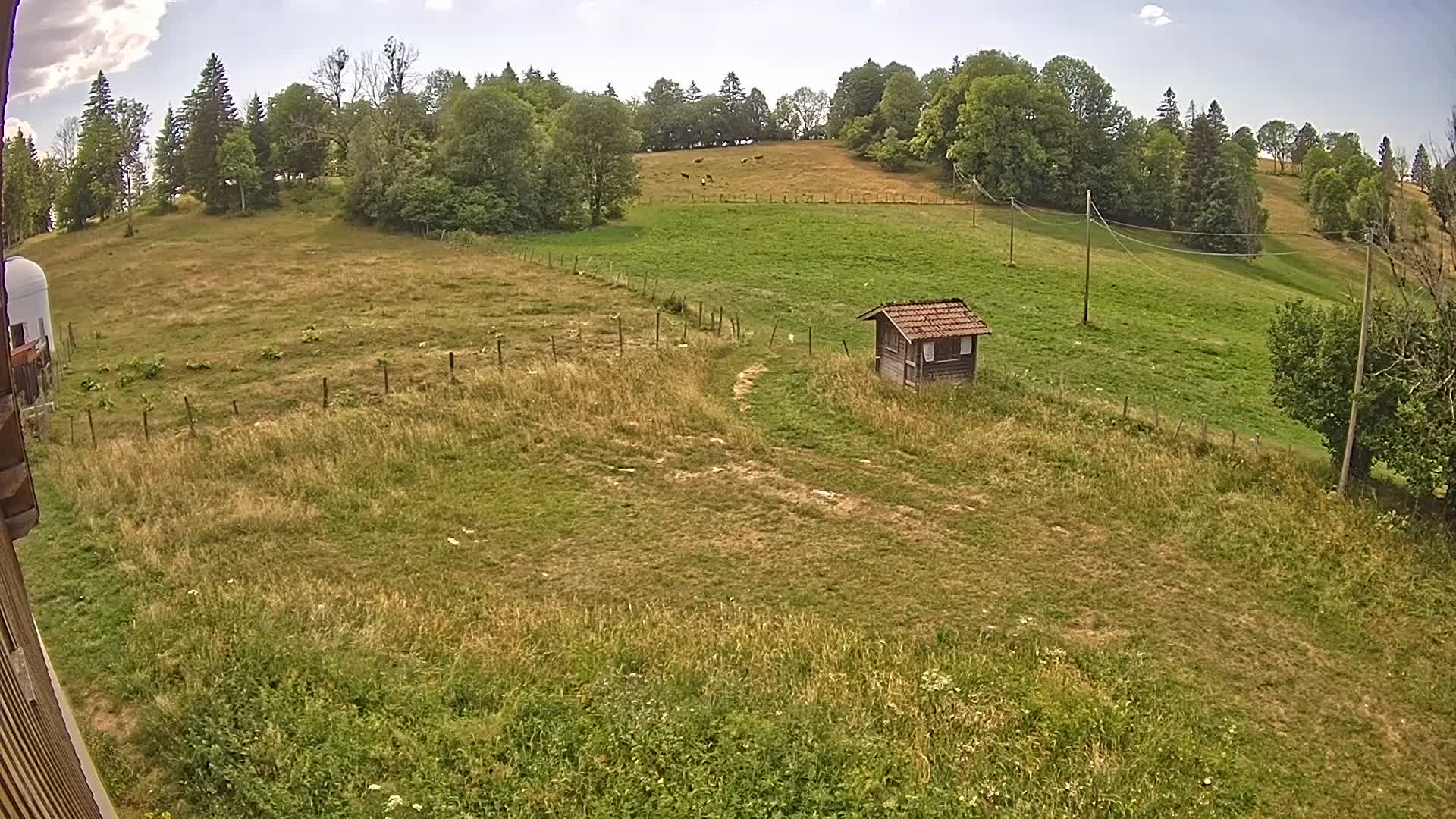 Webcam Image