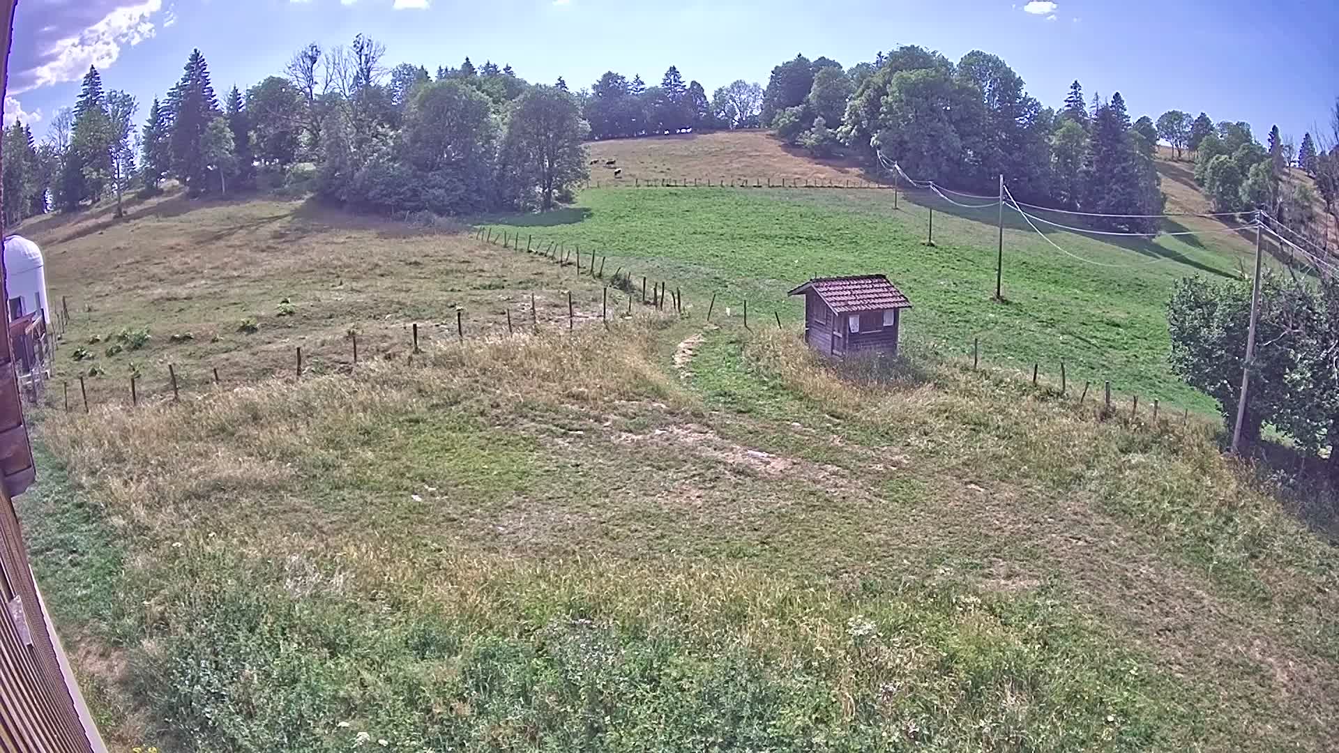 Webcam Image