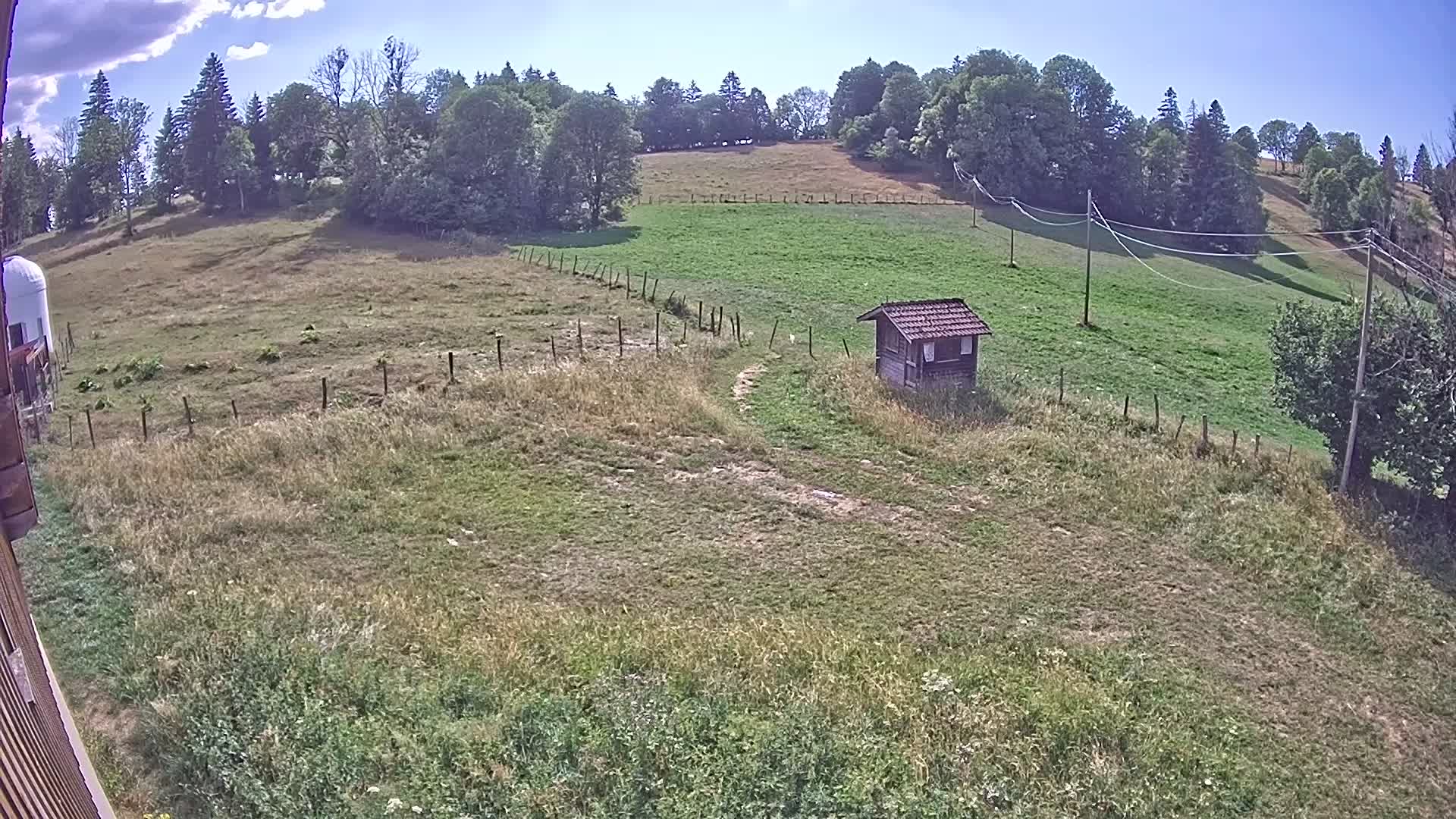Webcam Image