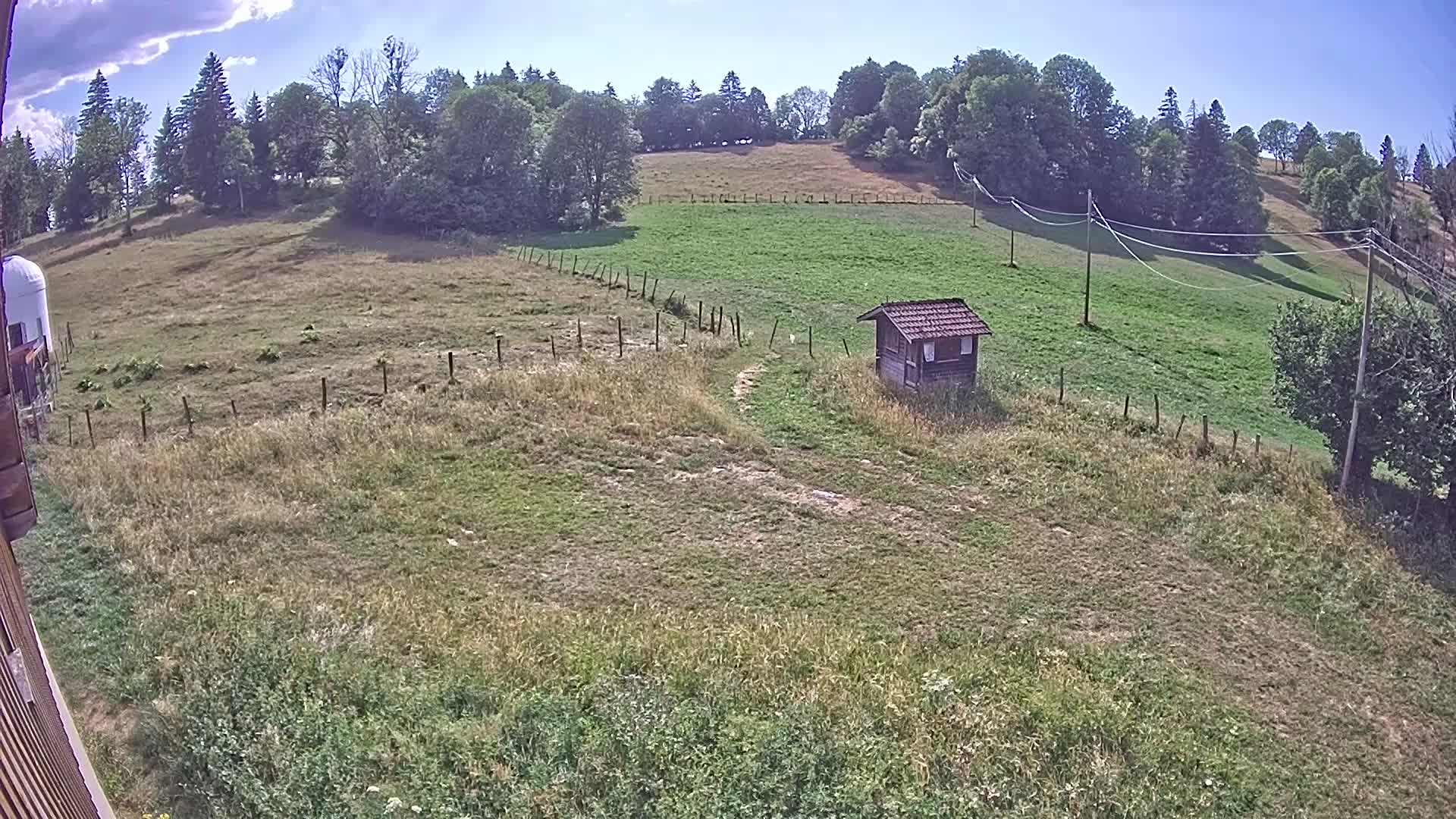 Webcam Image