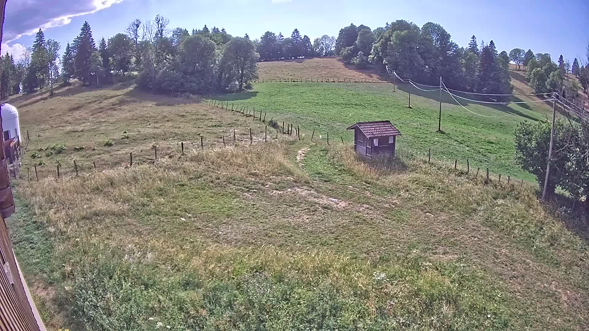 Webcam Image