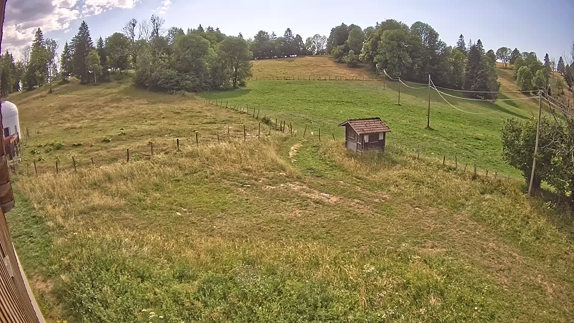 Webcam Image
