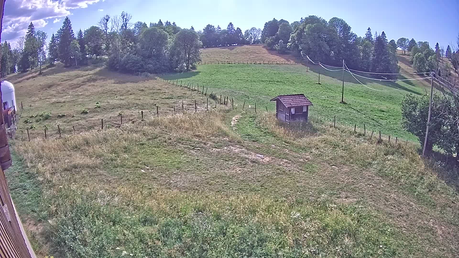 Webcam Image