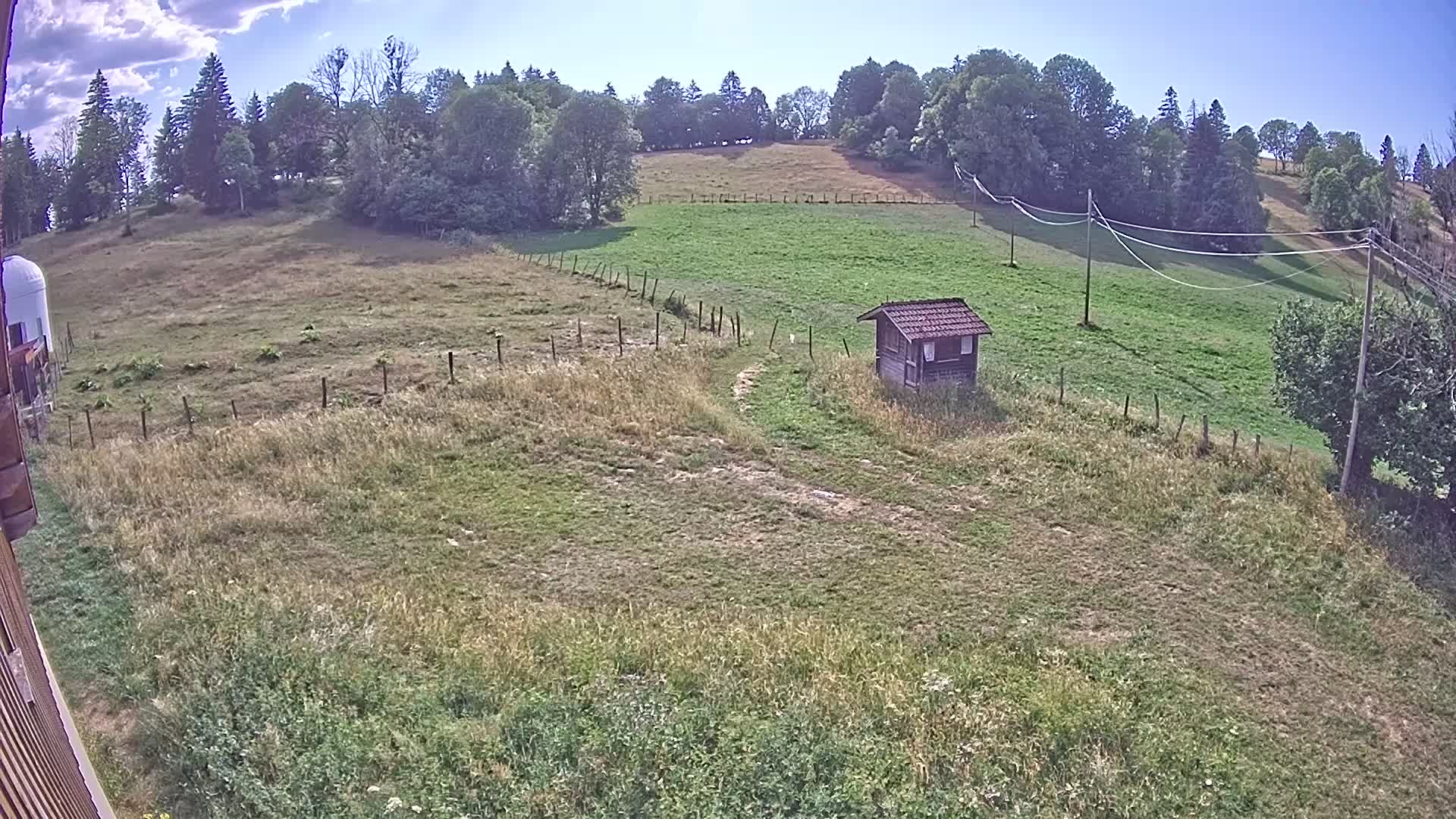 Webcam Image