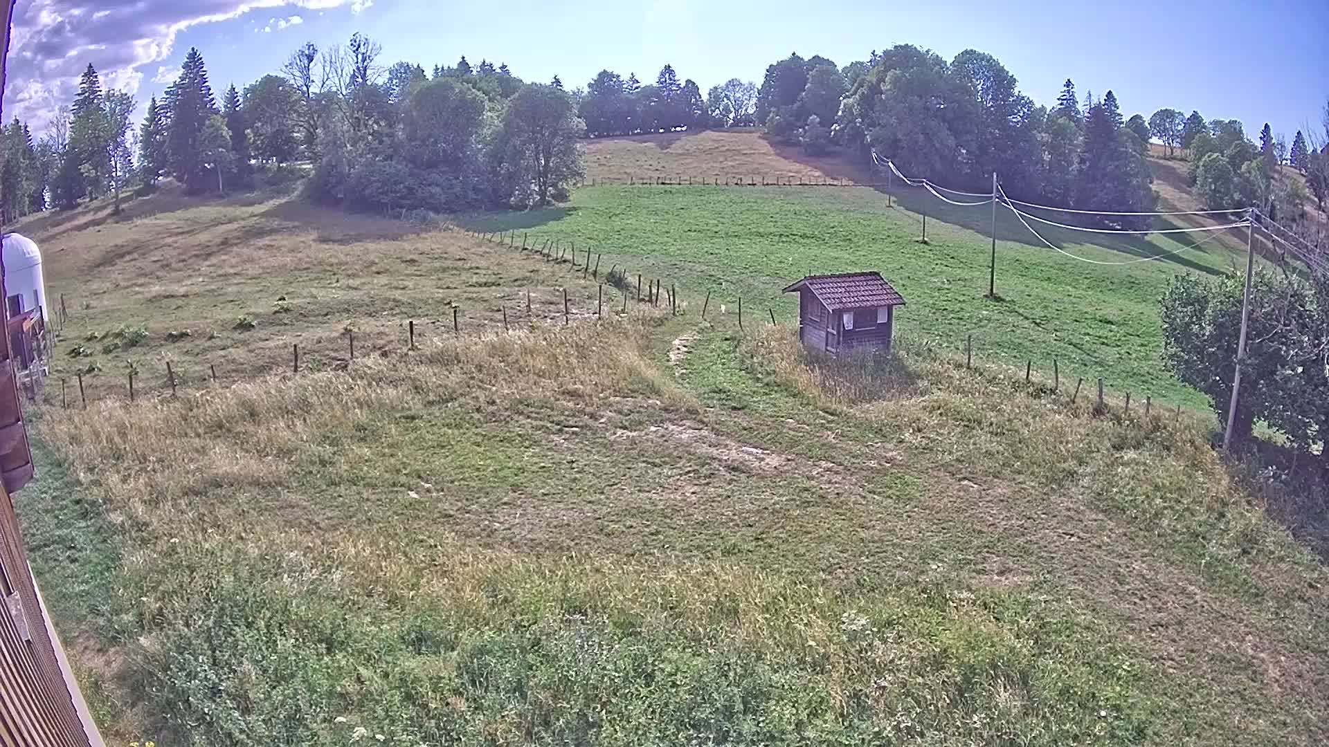 Webcam Image