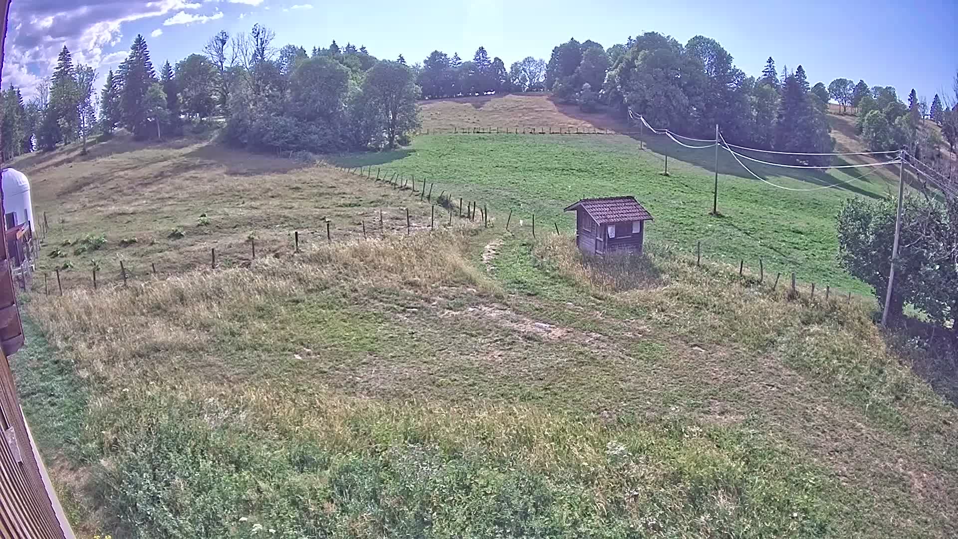 Webcam Image
