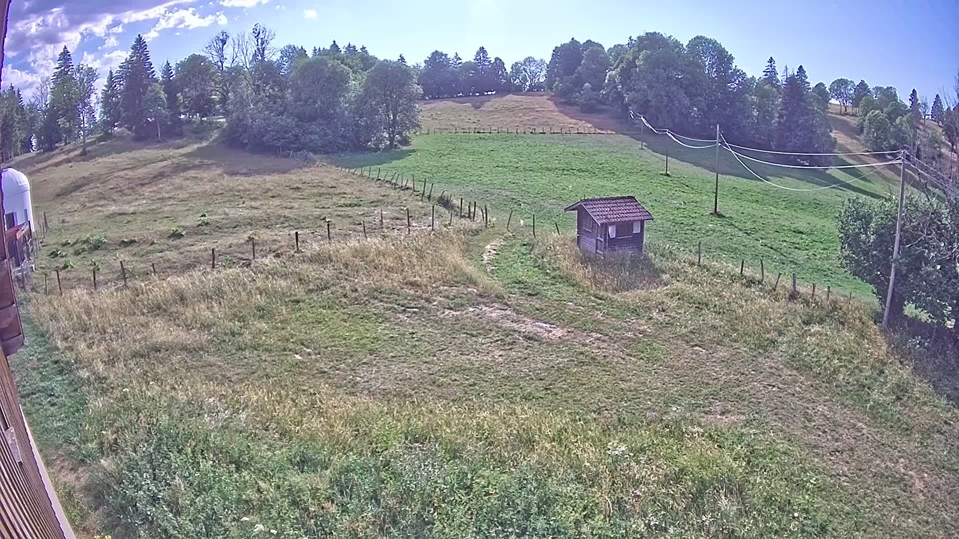 Webcam Image