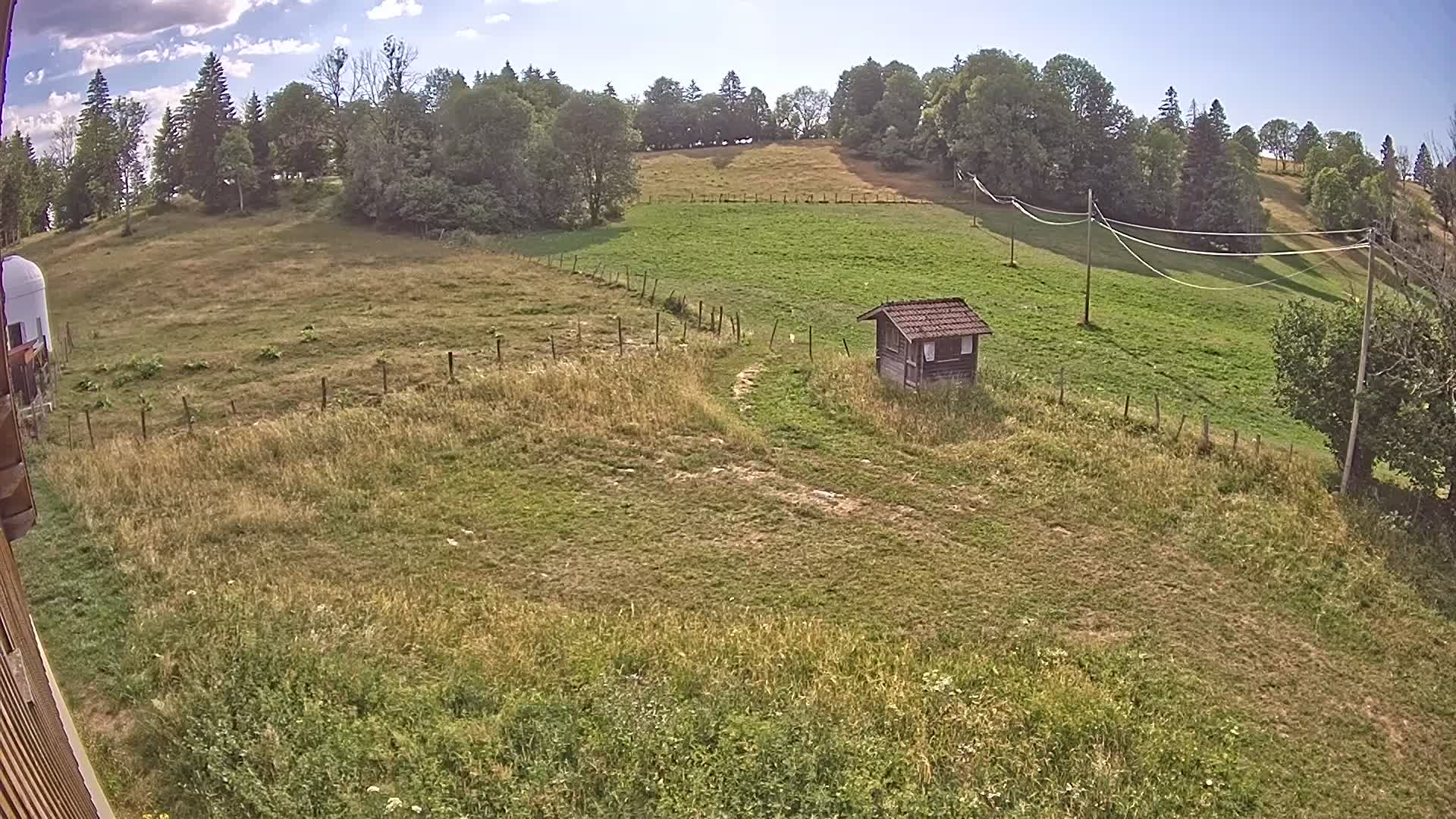 Webcam Image