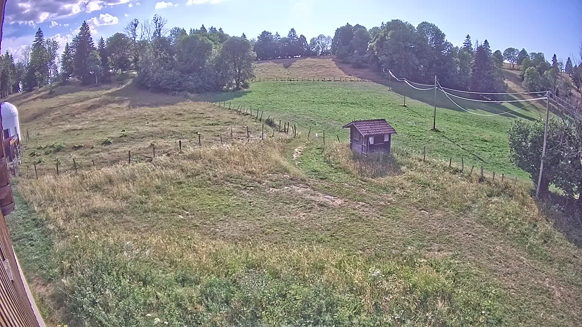 Webcam Image