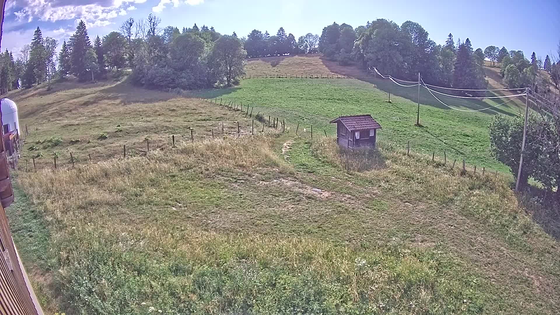 Webcam Image
