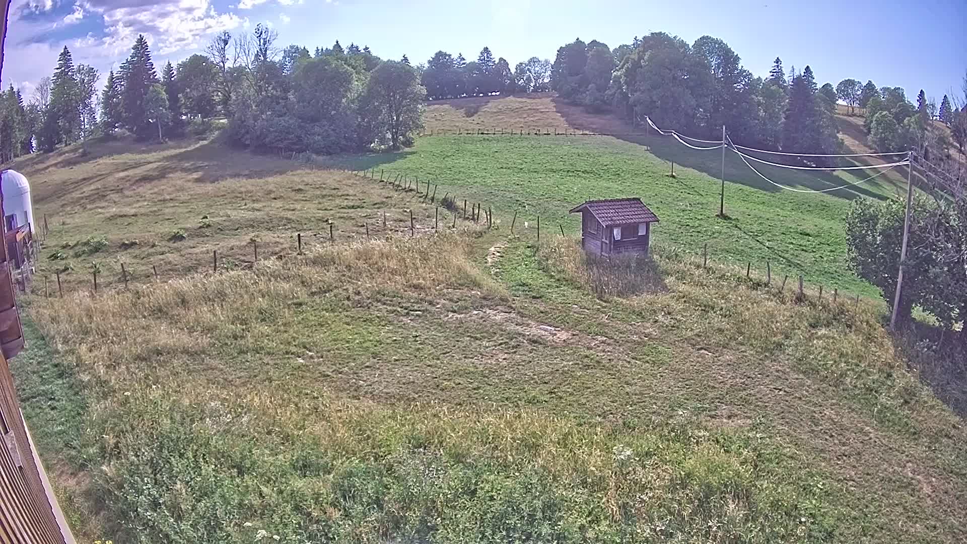 Webcam Image
