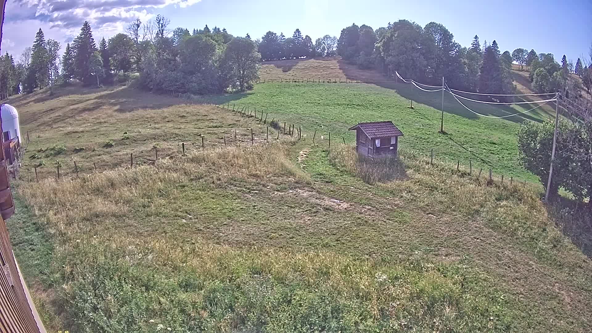 Webcam Image