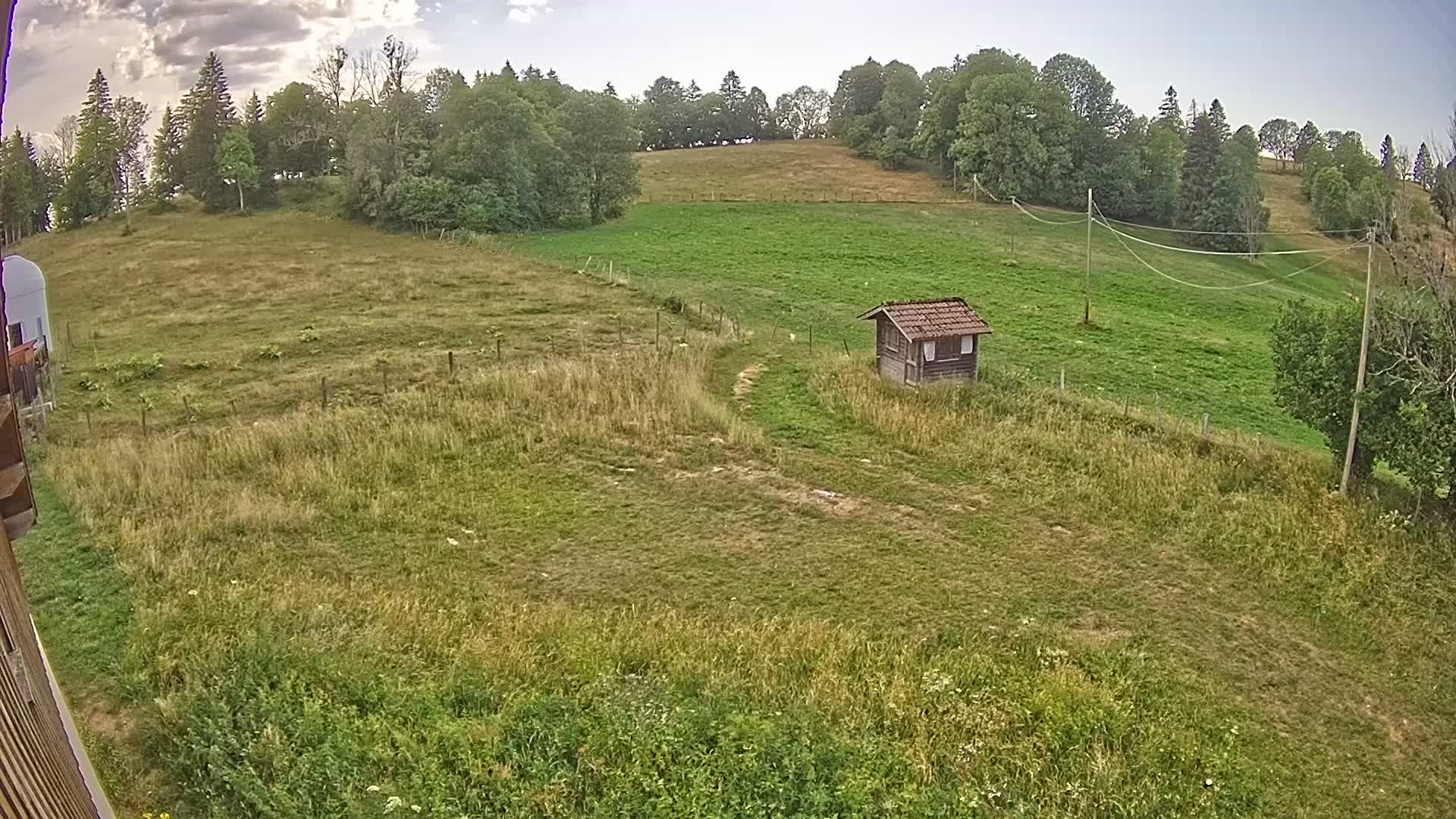 Webcam Image