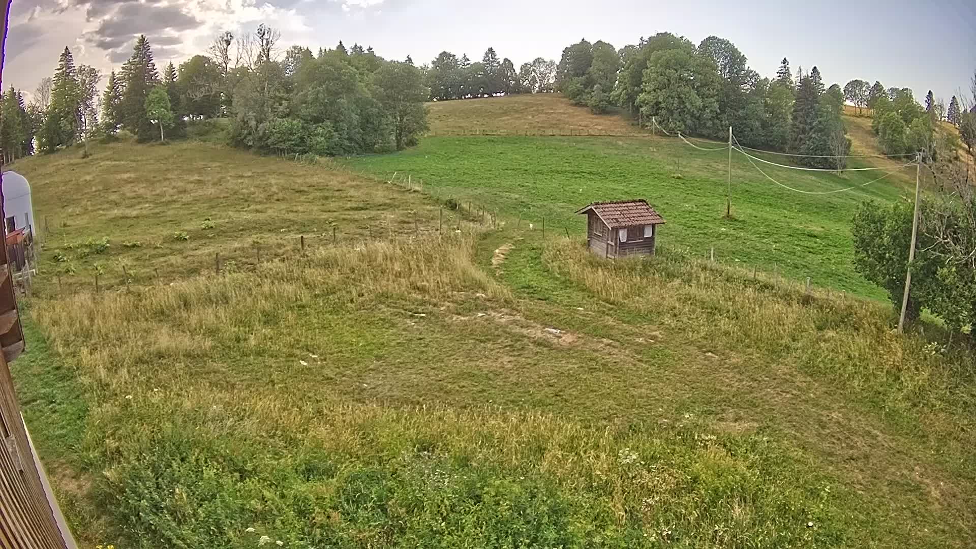 Webcam Image