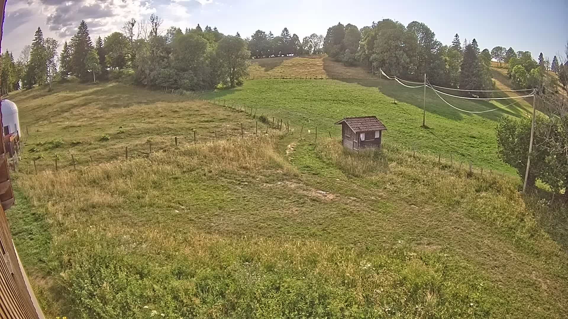 Webcam Image