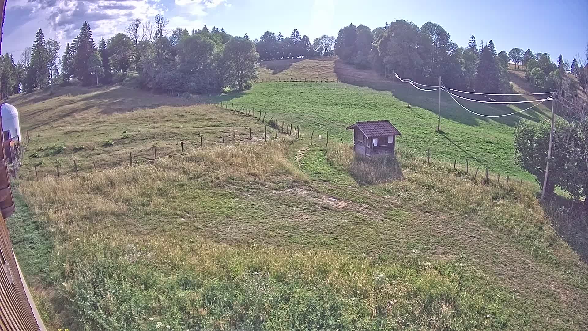 Webcam Image