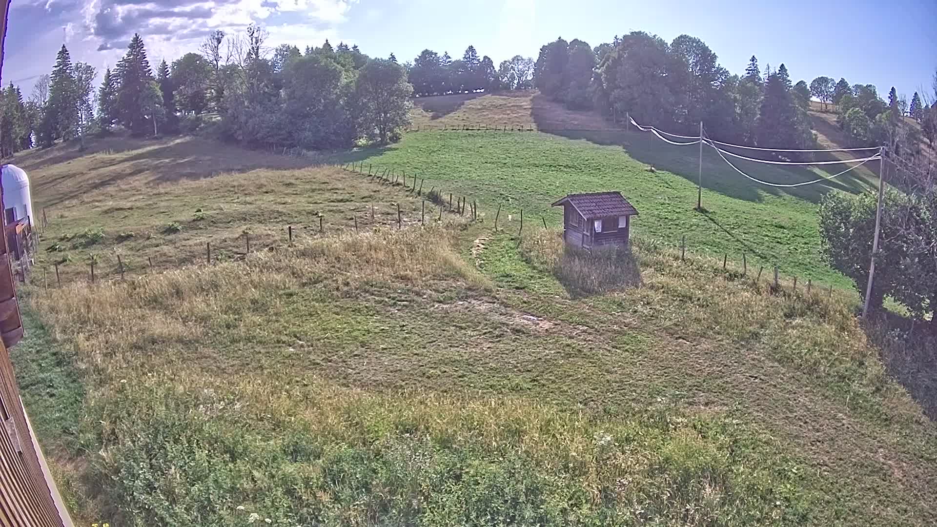 Webcam Image
