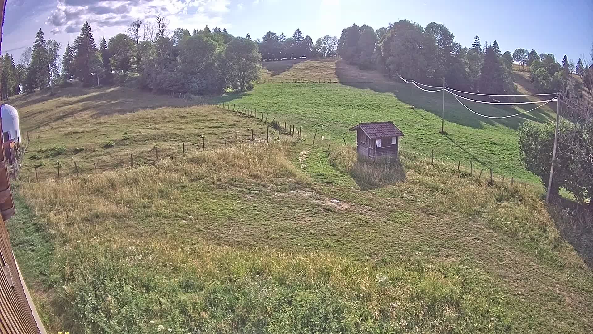 Webcam Image