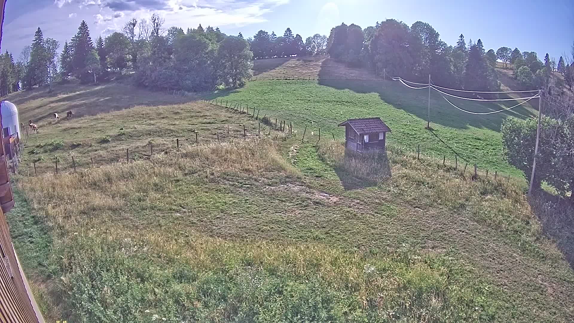 Webcam Image