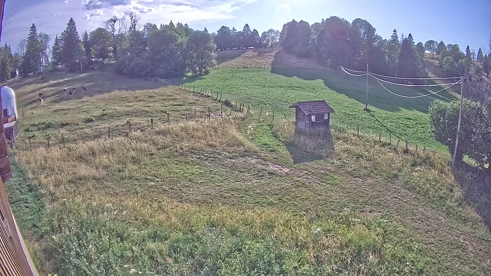 Webcam Image