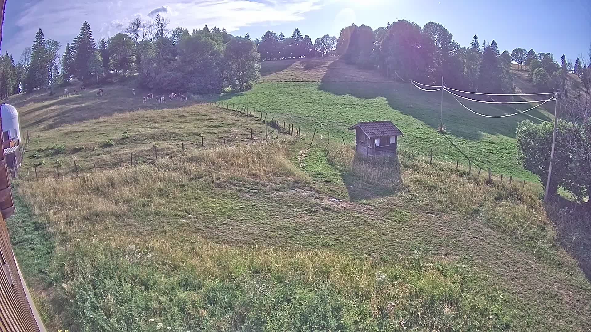Webcam Image