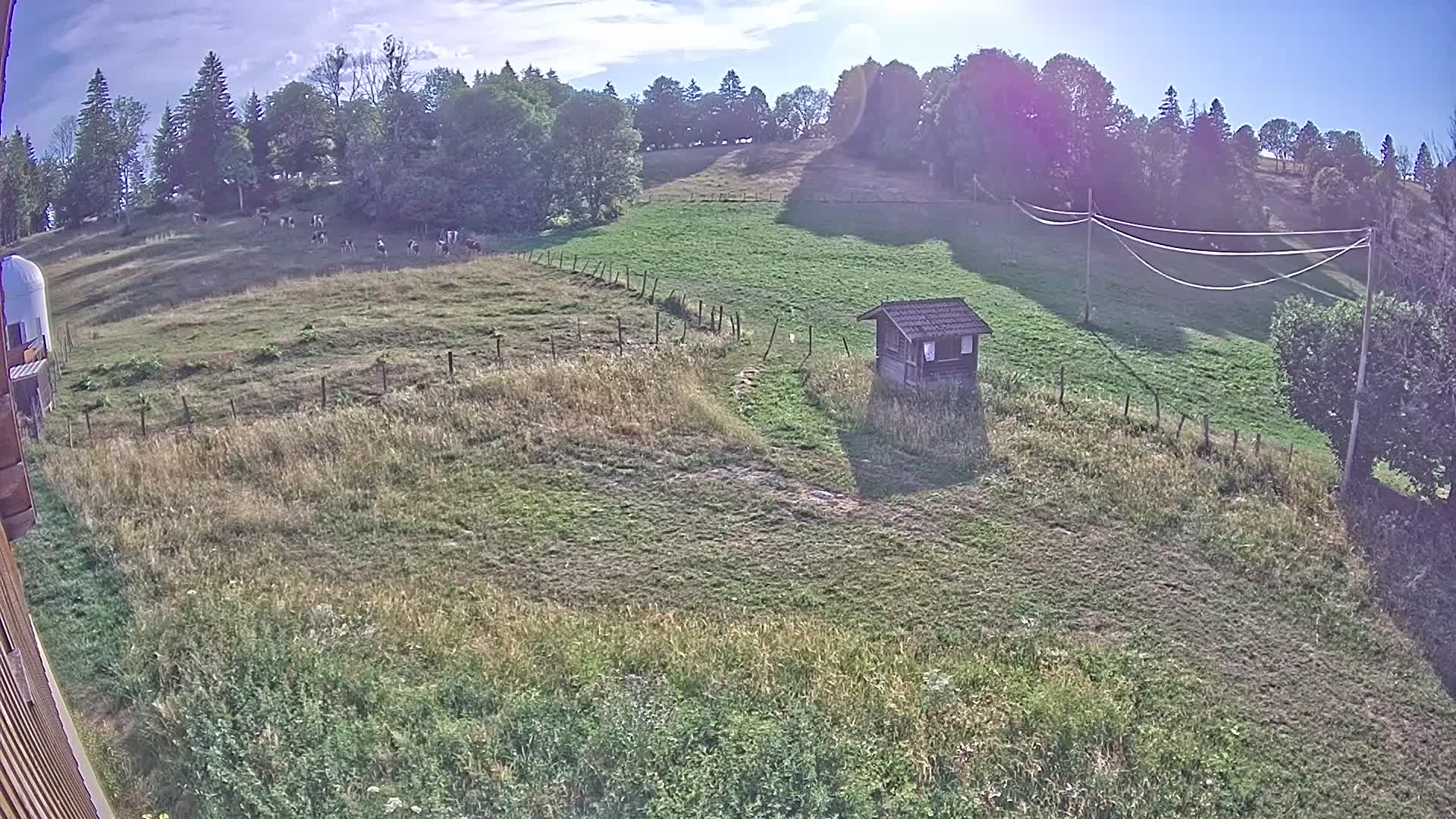 Webcam Image