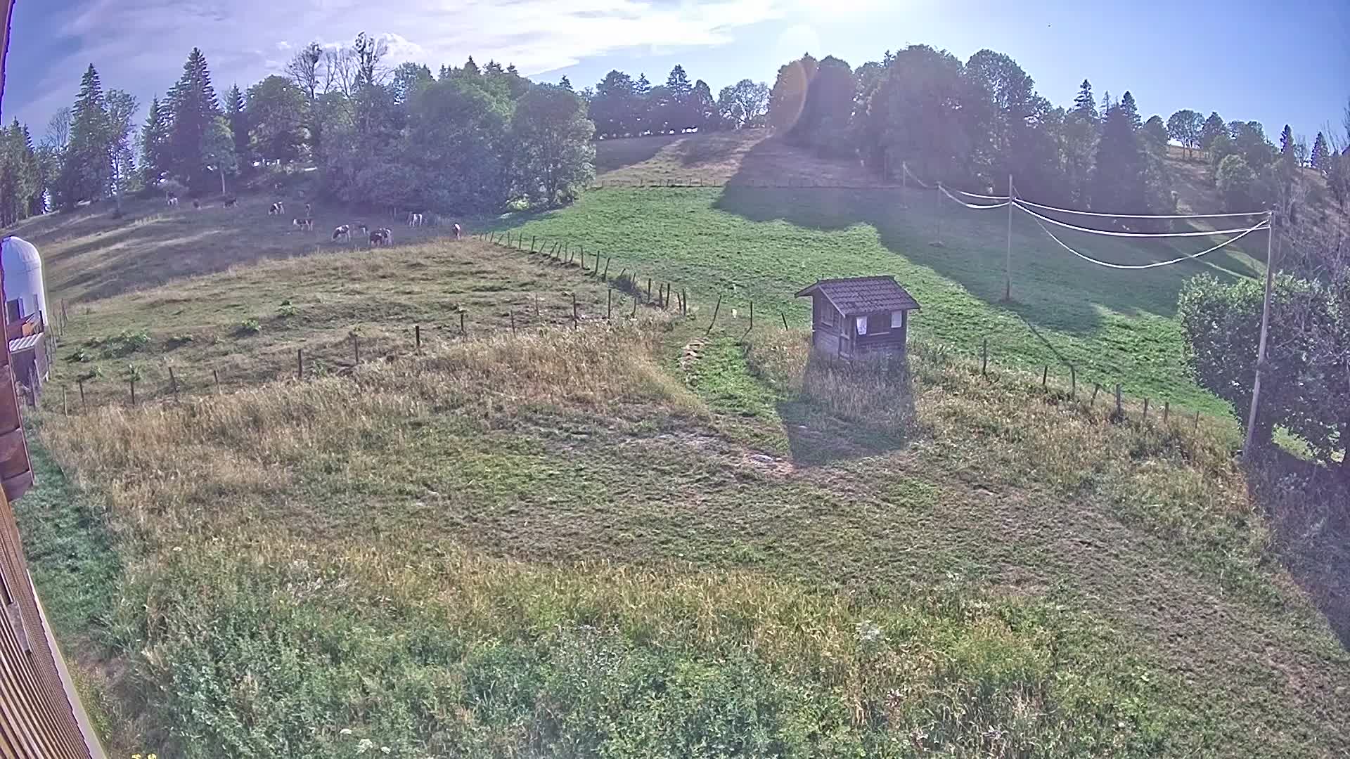 Webcam Image