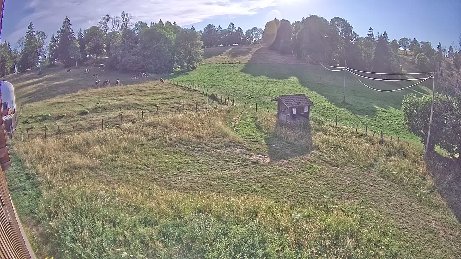Webcam Image