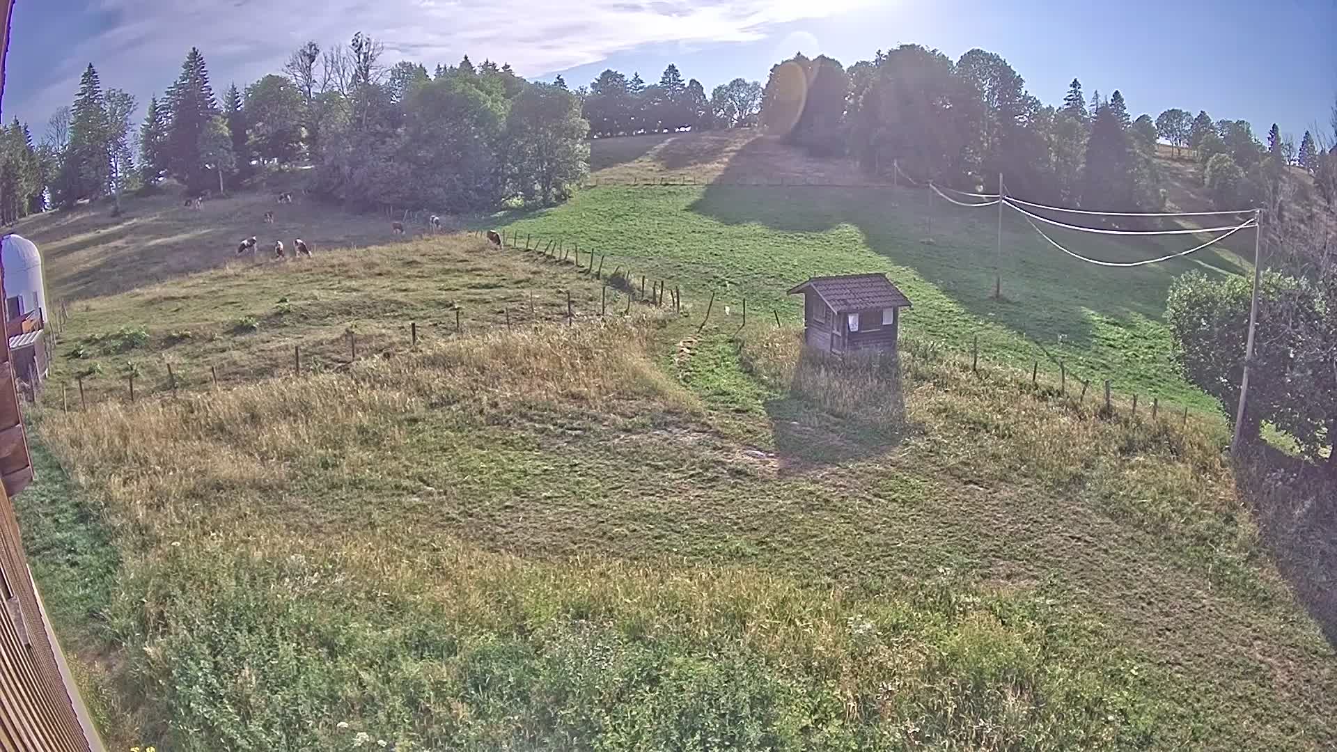 Webcam Image