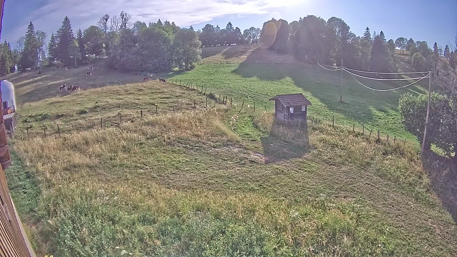 Webcam Image