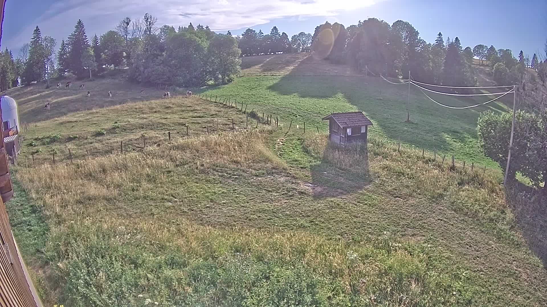 Webcam Image