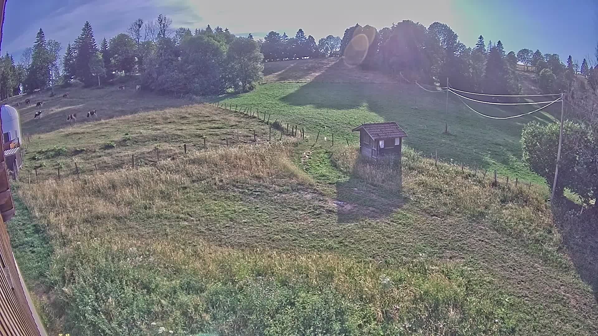 Webcam Image