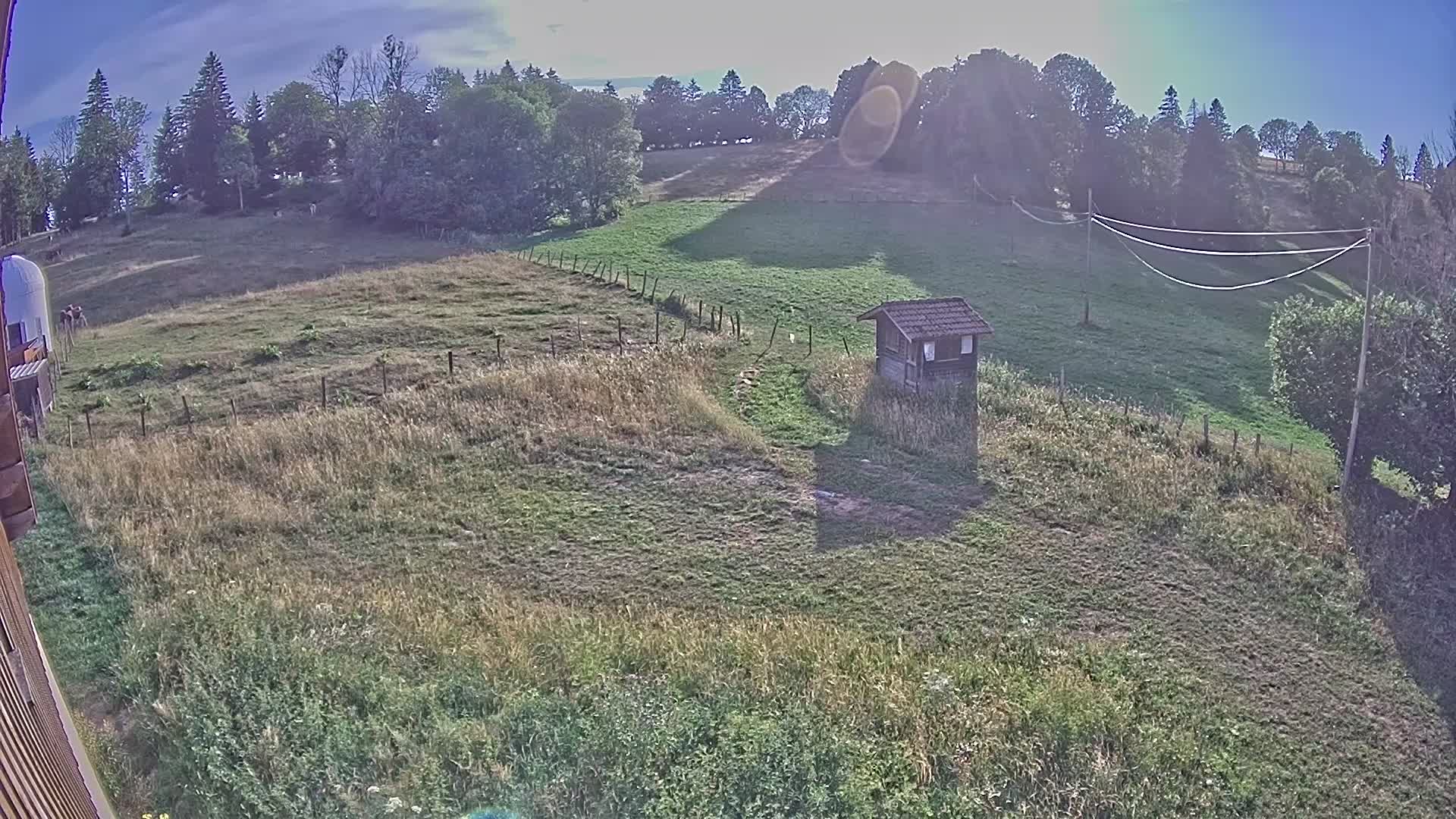 Webcam Image