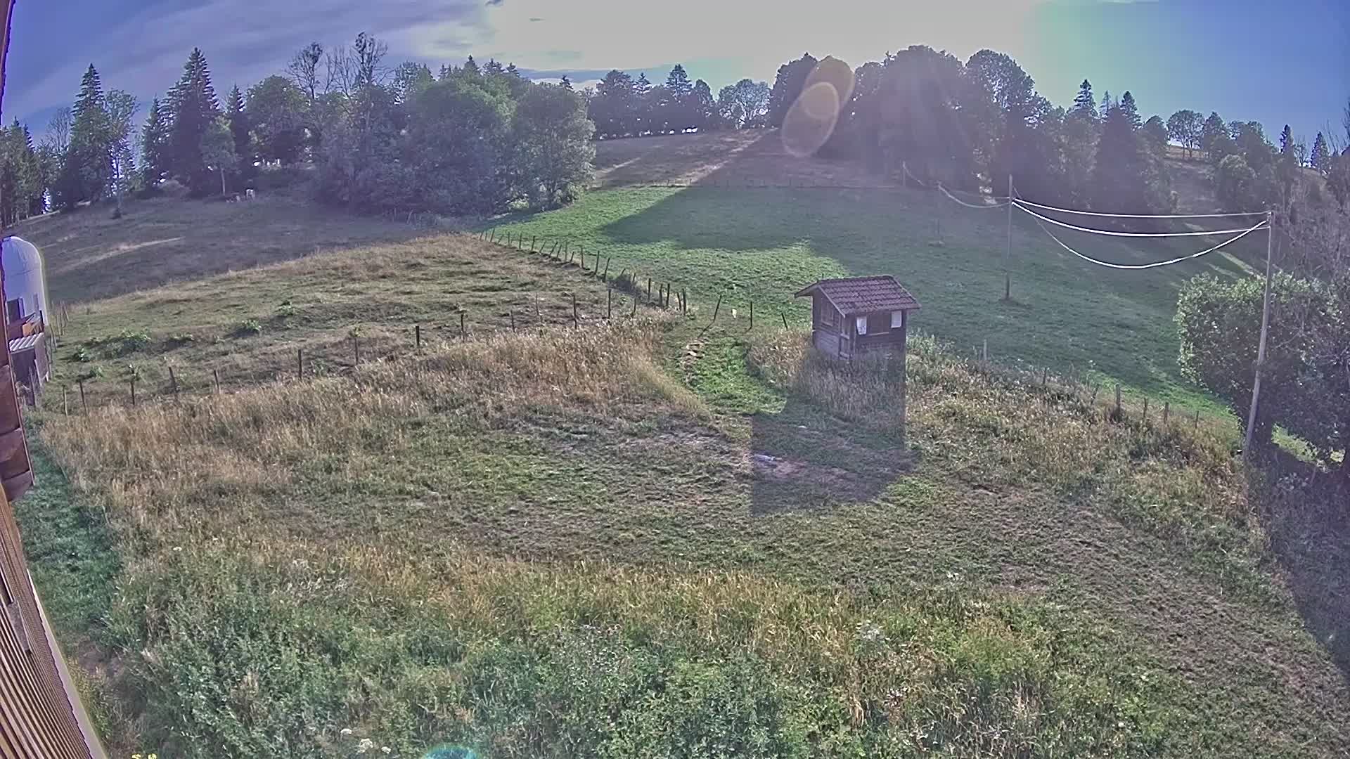 Webcam Image